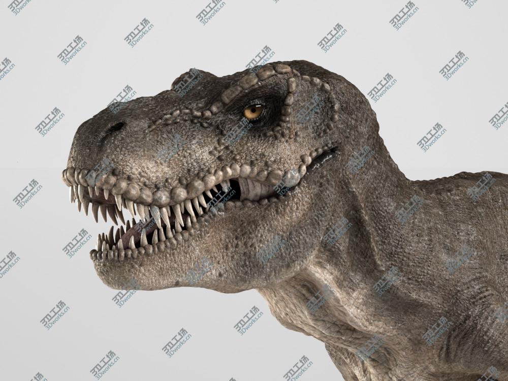 images/goods_img/202104091/Trex - Realistic/3.jpg